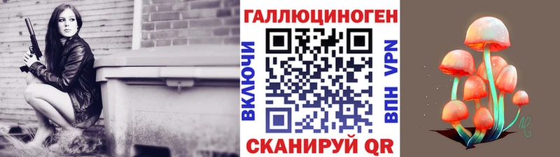 ссылка на мегу как войти  Щучье  Псилоцибиновые грибы мицелий  купить  сайты 