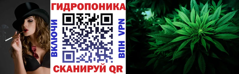 Бошки Шишки Amnesia hydra как войти Щучье
